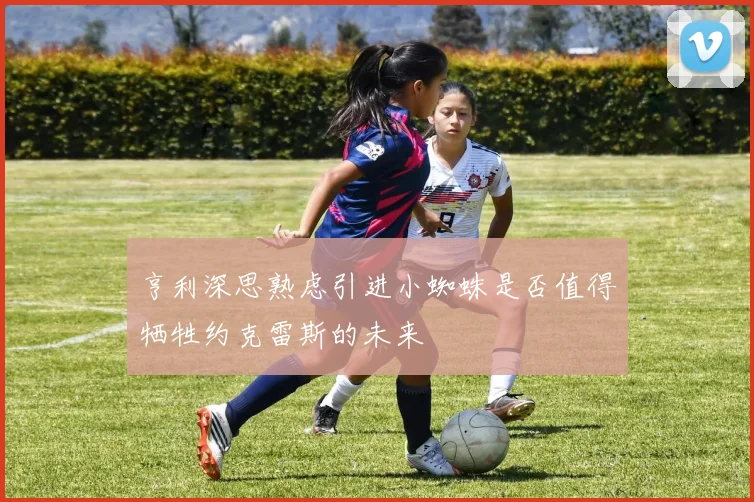 亨利深思熟虑引进小蜘蛛是否值得牺牲约克雷斯的未来