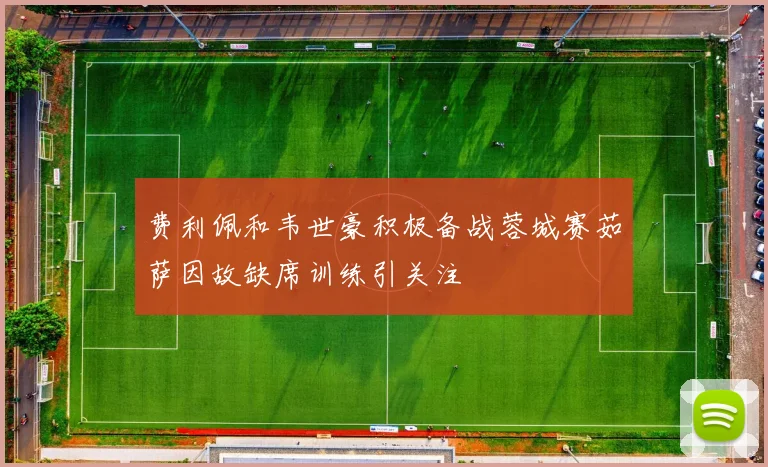 费利佩和韦世豪积极备战蓉城赛茹萨因故缺席训练引关注